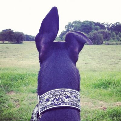 Profile Picture of Stanley (@stanley_floyd) on Twitter