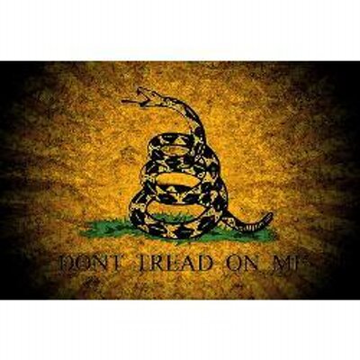 Profile Picture of Tracy McClain (@MyRightToCarry) on Twitter