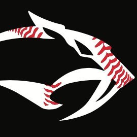 Profile Picture of Sabers Baseball (@tschlepe) on Twitter