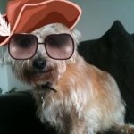 Profile Picture of michaelhinsley (@michaelhinsley) on Instagram