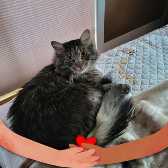 Profile Picture of Jodi Applegate (@cherokeegirl2) on Poshmark