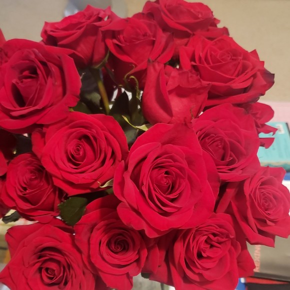 Profile Picture of Steve Park (@refuel) on Poshmark