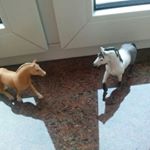 Wiktoria Dębicka - Instagram Profile Picture of Wiktoria Dębicka (@wdebicka) on Instagram