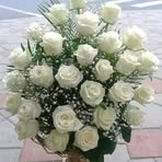 Mary Herbert - Facebook Profile Picture of Mary Herbert (@Mary-Herbert) on Facebook