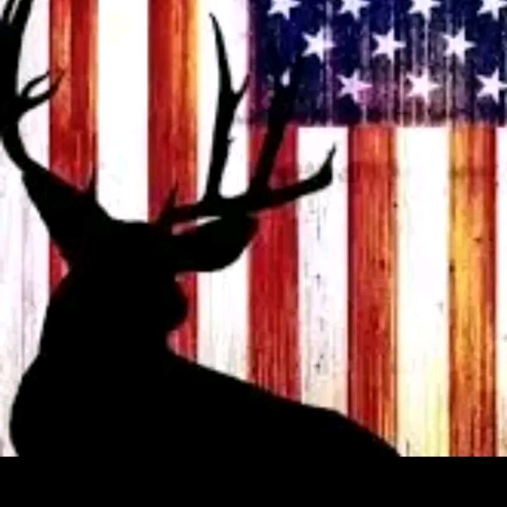 Profile Picture of Matthew Rookstool (@matthew.rookstool) on Tiktok