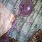 Joel Llewellyn - Instagram Profile Picture of Joel Llewellyn (@debossme) on Instagram