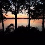 Profile Picture of John Wingfield (@john.wingfield.771) on Instagram
