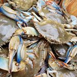 Profile Picture of Brent Perry (@crescentcatch.iop) on Instagram