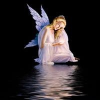 Profile Picture of Debbie Coyle (@debbie-coyle-1) on Quora