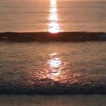 Dominique - Instagram Profile Picture of Dominique (@dom_michael_dube) on Instagram