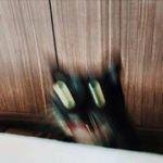 Profile Picture of Robert Chernenkiy (@jennielisda197) on Instagram