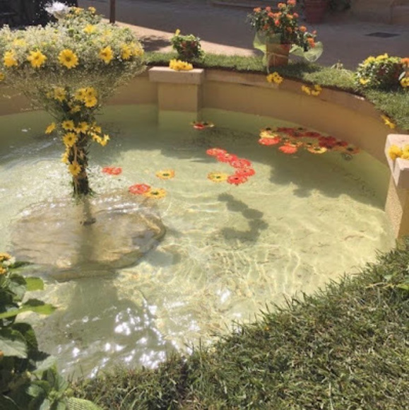 Profile Picture of Antonia Timpani (@antoniatimpani) on Poshmark