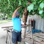 Profile Picture of Benny Fillo (@benny.fillo.7) on Facebook