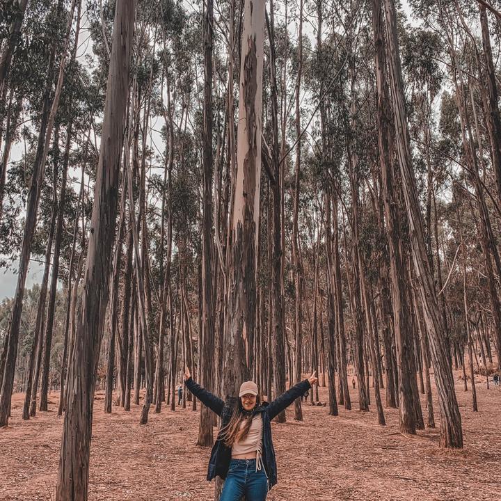 Profile Picture of Alejandra Cast (@zouale) on Tiktok