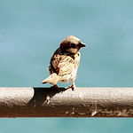 Profile Picture of Jose Portela Campos (@joseport) on Flickr