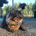 Profile Picture of Gus Craig (@_gussygus_) on Instagram