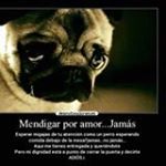 Profile Picture of David Bujanda (@davidraymundo_123456789bujanda) on Instagram