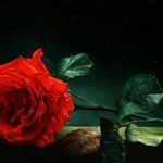 Profile Picture of lama al-deeb (@lama_aldeeb) on Instagram