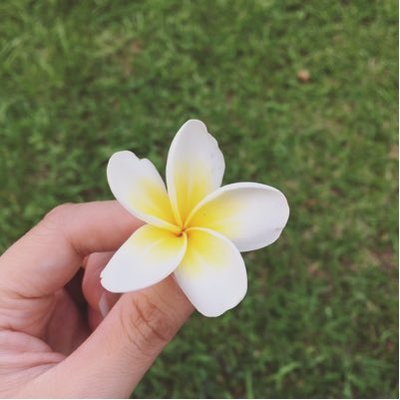 Profile Picture of Amy Hsieh (@winsand1994) on Twitter