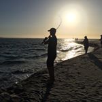 Profile Picture of austinrex (@austinrex) on Instagram