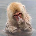 Profile Picture of Jason Drexel (@Jason-Drexel) on Facebook