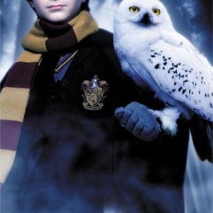 Profile Picture of Rex Potter (@257011950) on Myspace