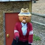 Profile Picture of Darin Cline (@dclinedd) on Instagram