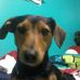 Profile Picture of Max Ballenger (@max.ballenger) on Facebook