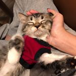 Profile Picture of เบอร์เกอร์ แจงเกอร์ แพนเตอร์ (@mr.bopanger) on Instagram