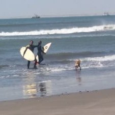 Profile Picture of Patrick Rojas (@pat_wrestler) on Twitter