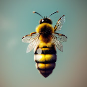 Profile Picture of Robert Craven (@robertcraven8120) on Youtube