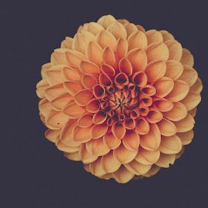 Profile Picture of Shada Allen11 (@shadaallen89) on Tiktok