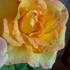 Profile Picture of Marie James (@marymj80) on Pinterest