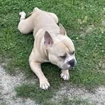 Profile Picture of Edgar Bailey (@edgar.bailey.3517) on Facebook