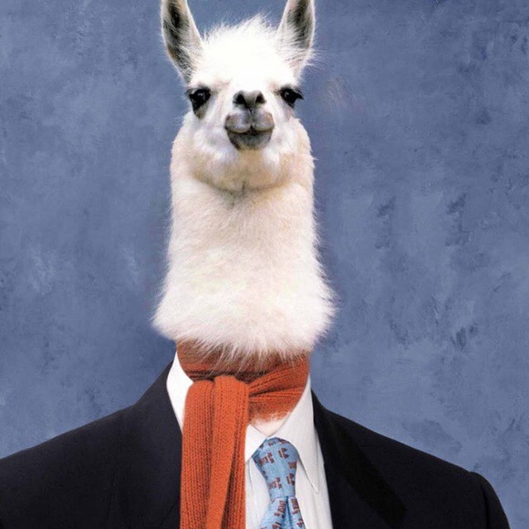 Mccartney Like paul - Poshmark Profile Picture of Mccartney Like paul (@wackymacky2004) on Poshmark