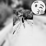 Profile Picture of isabel capellan (@isabella_capellan) on Instagram