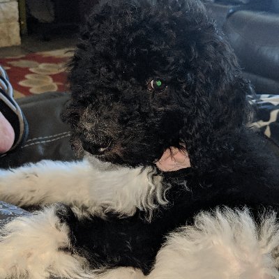 Profile Picture of Nita Robinson (@NitaRob39298716) on Twitter