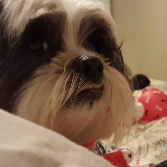 Profile Picture of Glenda Silmon (@glendasilmon) on Poshmark