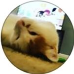 Profile Picture of Ian Reese (@ireese06jr) on Instagram