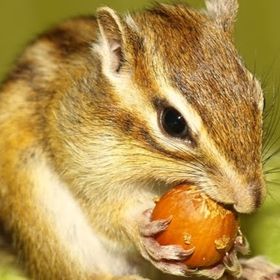 Profile Picture of Paulina Jadzia B. (@jagodaaaa6) on Pinterest