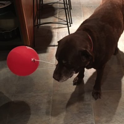 Profile Picture of John Linton 🇺🇸🇨🇦🇪🇹 (@canadaLinty) on Twitter