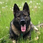 Profile Picture of Joey O’Neil (@oneiljoey) on Instagram