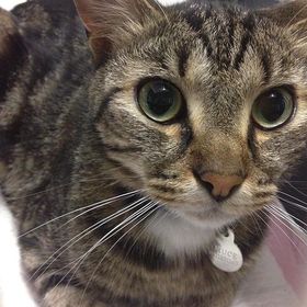 Profile Picture of Jacqueline Slagle (@jacquelinej10) on Pinterest