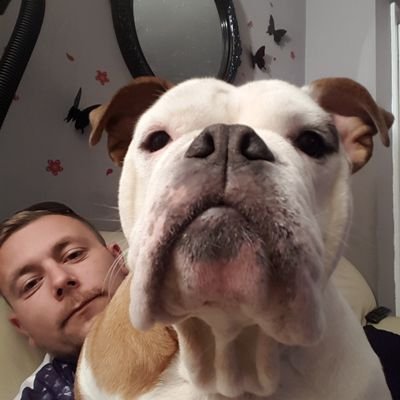 Profile Picture of Steve Fulch (@SteveFulcher3) on Twitter