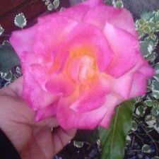 Profile Picture of Marta Benjamin (@martabenjamin58) on Twitter