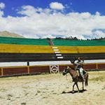 Profile Picture of Javier Gamarra Gamarra (@jafergamarra) on Instagram