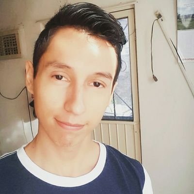 Profile Picture of Erik Barrientos (@erikBionic10) on Twitter