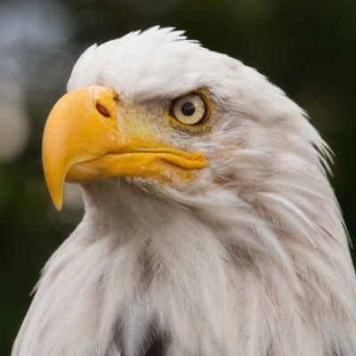 Profile Picture of Kenneth Brooks (@klbguy) on Twitter