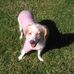 Profile Picture of Connie Mccune (@connie.mccune.589) on Facebook