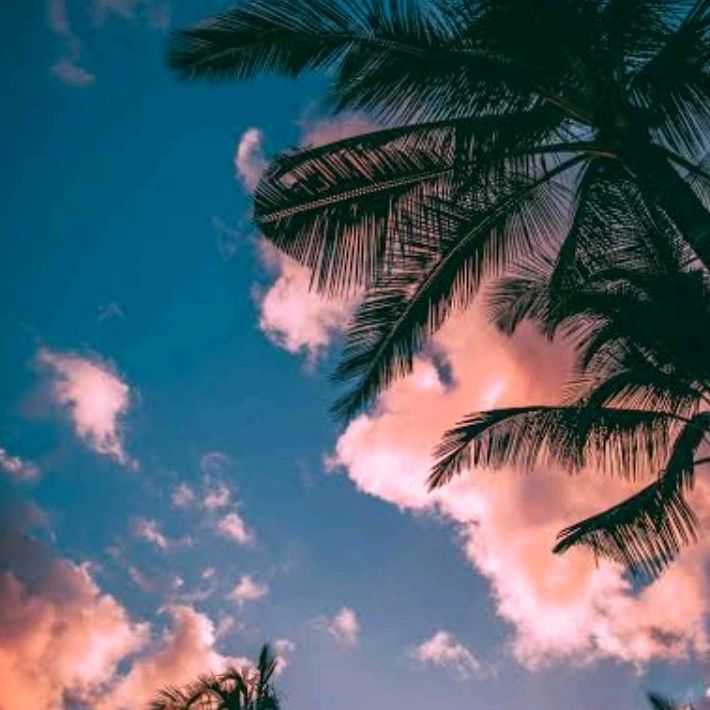 Profile Picture of David_kff (@david_kff) on Tiktok
